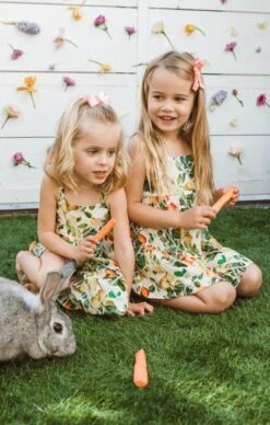 Show Me Your Mumu Dodd Ruffle Dress ~ Citrus In Georgia -Show Me Your Mumu 724A0972