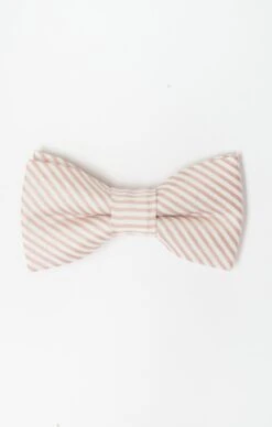 Show Me Your Mumu Range Kids Bow Tie ~ Dusty Blush Stripe
