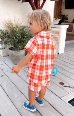 Show Me Your Mumu Lil Button Up Shirt ~ Picnic Plaid -Show Me Your Mumu DA2F596A 0B2D 41DA A479 EA371CC79EE1