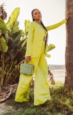 Show Me Your Mumu Irwin Pants ~ Citrine Luxe Satin -Show Me Your Mumu DSC 0424