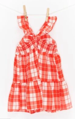 Show Me Your Mumu Dodd Ruffle Dress ~ Picnic Plaid -Show Me Your Mumu DSC 6540