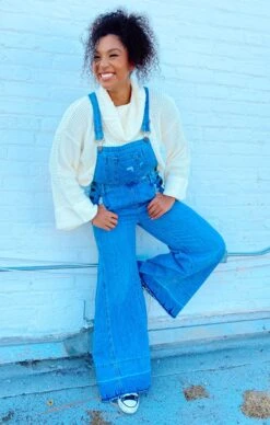 Show Me Your Mumu San Fran Overalls ~ Carolina Blue -Show Me Your Mumu IMG 01322