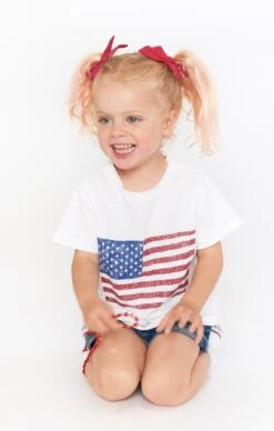 Show Me Your Mumu Mini Cooper Tee ~ American Flag Graphic -Show Me Your Mumu IMG 2408