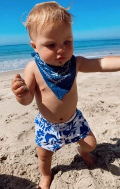 Show Me Your Mumu Knox Shorts ~ Senorita Bluebird