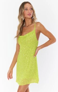 Show Me Your Mumu Suzanna Slip Dress ~ Lime Sequins -Show Me Your Mumu MF0 1292 LS24 01 3