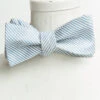Show Me Your Mumu Josh Bow Tie ~ Steel Blue Stripe -Show Me Your Mumu e388e1c1b1e6dba0c888530d72c8743d