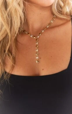 Show Me Your Mumu Sofi Pave Lariat Necklace ~ Gold Plated